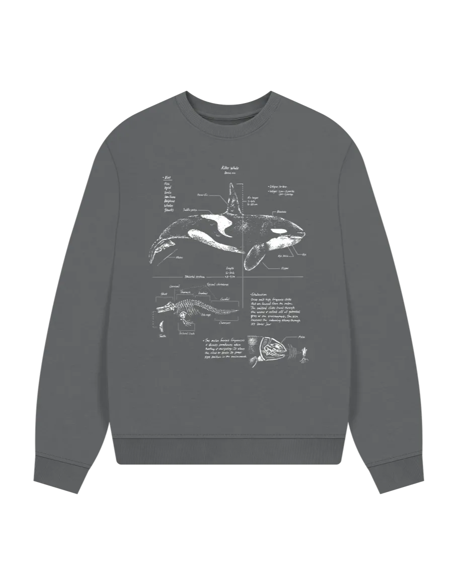 Orca Anatomy Women's Oversized Sweatshirt