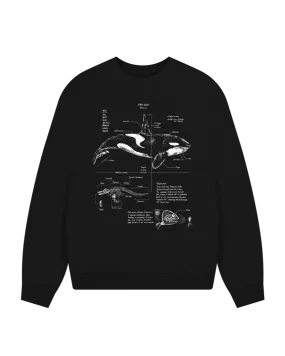 Orca Anatomy Women's Oversized Sweatshirt