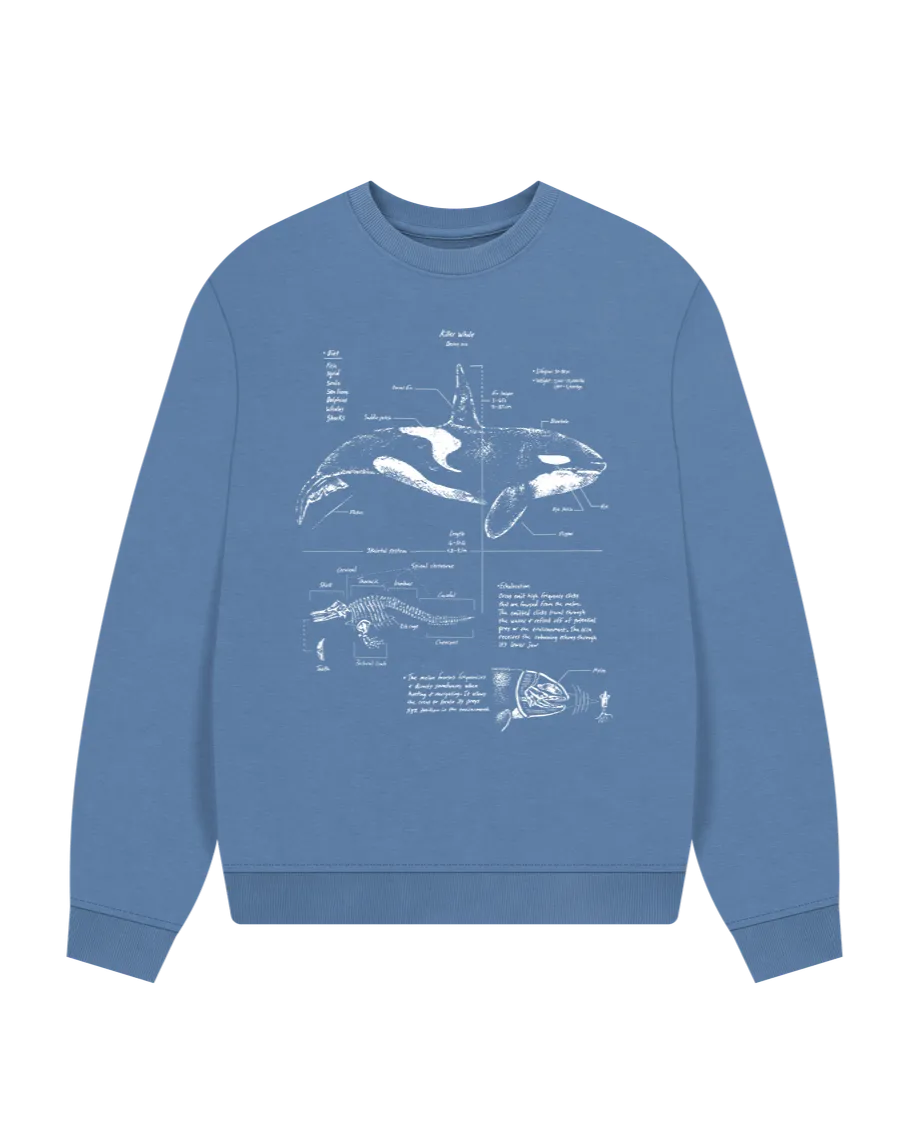 Orca Anatomy Women's Oversized Sweatshirt