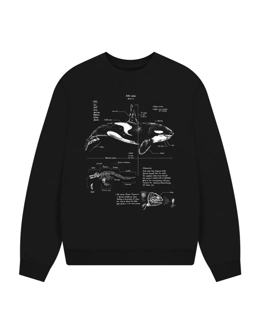 Orca Anatomy Women's Oversized Sweatshirt